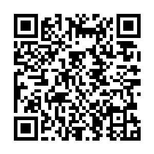 就连在驾驶位上开车的朱大明都觉得虎臣哥实在是太骚了二维码生成