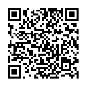 就连坐镇在星月界的唯一圣殿长老都不是青山的对手二维码生成