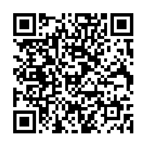 就连基地多少机甲师多少后勤都有一个详细的数字二维码生成