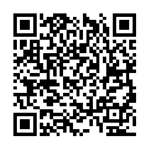 就连夏天自己也没想到菩提之力居然可以这么恐怖二维码生成