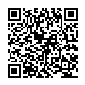 就连外面的大宗门都暗中派人在落入山脉禁地边缘窥探呢二维码生成