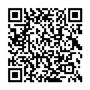 就连天机楼背后更大的势力天机宫也奈何不了我二维码生成