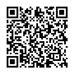 就连失去意识的白鲨的都被红歌翻出来给他戴上二维码生成