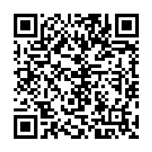 就连她最喜欢的植物都感同身受似的跟着她一起悲伤起来二维码生成