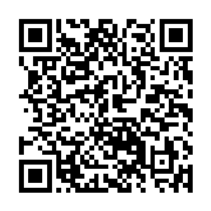 就连她的意识为何能进入杨风的意识海她都不清楚呢二维码生成