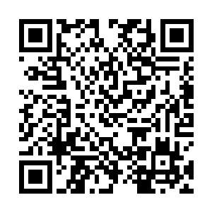 就连她身上的金丹期法衣也被其冲撞得破出一道道裂口二维码生成