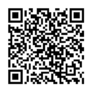 就连她身后那些淡金色的幽灵们也变得焦躁起来二维码生成