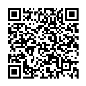 就连她都差点以为叶莫要彻底陷入无尽之路当中了二维码生成