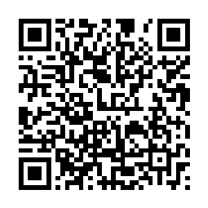 就连官网上都没有专门为这件事情给出任何一句解释二维码生成