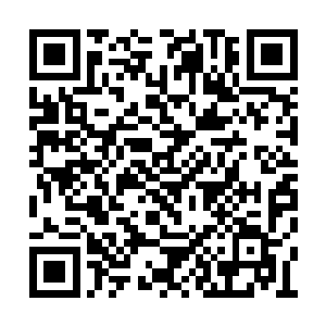 就连小岛上二三级的海啸余震也经历了不下十次二维码生成