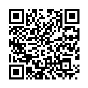 就连平日里喜欢到处撒野玩闹也不见了二维码生成