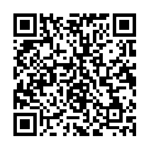 就连庞籍这般老成持重之人都能听出一丝喜悦之音来二维码生成