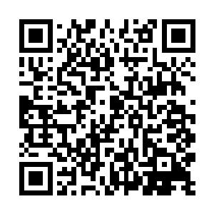 就连开了外挂金手指给力的凌蘭也只是有晋级的可能二维码生成