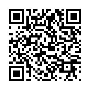 就连张涛和赵长风这样修神期的修士二维码生成