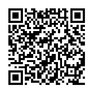 就连张铁都感觉到了自己的搏杀技能在飞快的进步着二维码生成