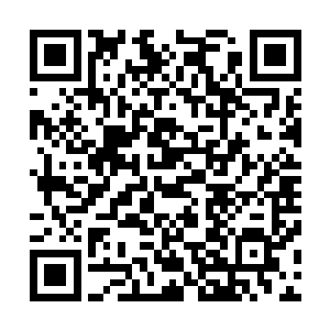 就连想要上来拉架的陆通判都被他夫人一巴掌给扇到了一边二维码生成