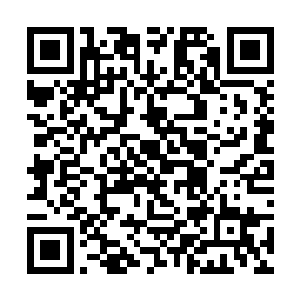 就连我和王勇听到这些残忍的过去都不由得握紧拳头二维码生成