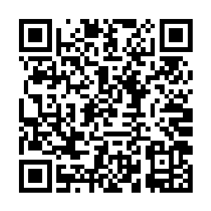 就连我脚踝上被那毒蜘蛛咬过的地方连伤口都没有了二维码生成