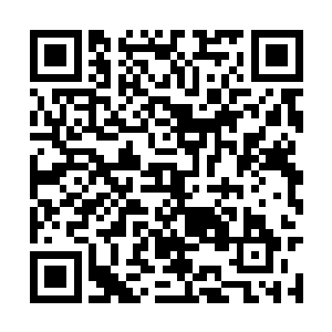 就连我自己也不知道血之仙道为什么会变异成这样二维码生成