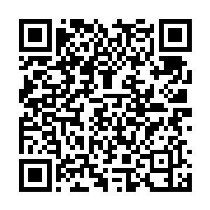 就连才加入队伍不到一个月的陈诚都感觉非常惋惜二维码生成