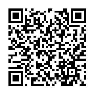 就连担任翻译员的小玲此时也没心情去给他讲解啊二维码生成