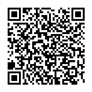 就连摄像师们都可以感受到自己眼前已经固定好机位的摄像机在颤抖了二维码生成