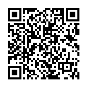 就连断水界主和战场外的那些势力领袖们也都没有看清二维码生成