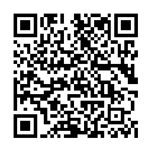 就连斯德哥尔摩皇家医学院的领导也都齐聚一堂二维码生成