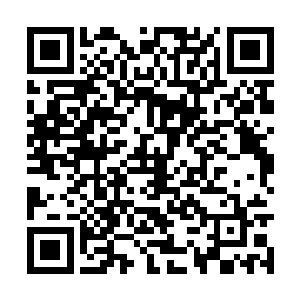 就连旁边的徐蛴螬和他波两人也是为之激动了起来二维码生成