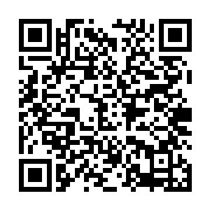 就连时尚饰品等等他都有做细致的研究并且绘制了报表二维码生成