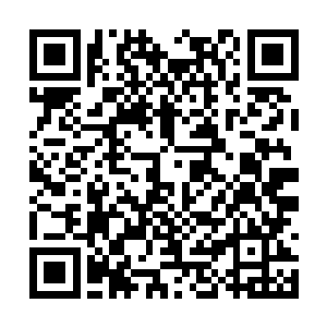 就连最后的一本圣经都被小龙给完完整整的看完了二维码生成