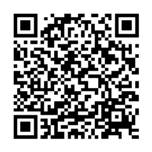 就连最小的小福也抱了一个盆在小熊的帮助下打了满满的一盆二维码生成