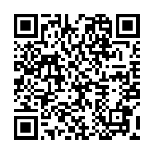 就连本该好好休息的莫春娇也抓紧时间恢复自己的力量二维码生成