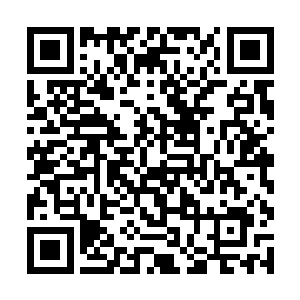 就连梅月珑和魁梧大汉也都只有一把共用的三轮法刀二维码生成