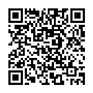 就连梦神机都忍不住去看别的芥子空间内的战斗了二维码生成