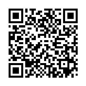 就连樱井三良这样的大师也没有养殖的经验二维码生成