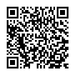 就连正津津有味的吃着凌菲扔给它的烤肉的灰团子也起了兴趣二维码生成