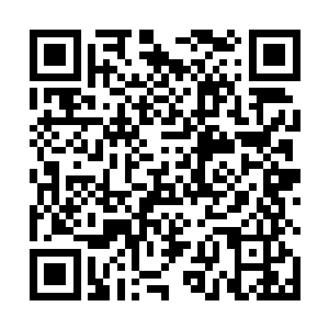 就连毒玫瑰的那些黑衣汉子看到这一幕心中都暗叫一声二维码生成