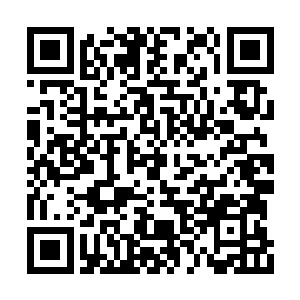 就连永燃之焰和帕洛奇亚的黑暗原力都受到牵引二维码生成