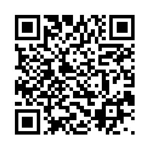 就连河里的食人鱼也未必能拿它们如何二维码生成