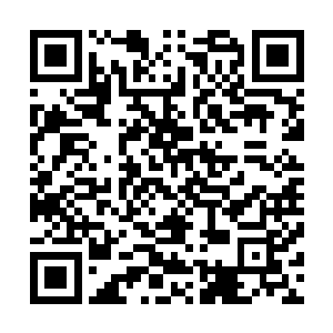 就连洪剑门的门主和其他几个人也全都是满脸不可思议的天二维码生成