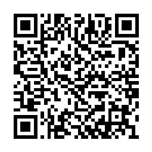 就连清河崔氏因为一个吕姓的主母也跟着有动静二维码生成