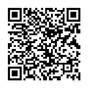 就连渐渐回过神来的苗毅心中也认为是寇家帮忙的安排二维码生成