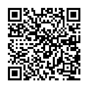 就连激动的孤夫人也不自觉被君北月这无声的怒意震慑住二维码生成