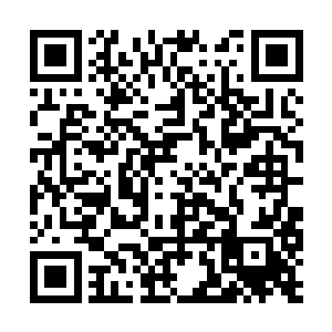 就连环江区民工子弟学校的校长和老师也都这么说二维码生成