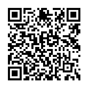 就连生化脑抽搐的频率都比正常状态要提高许多二维码生成