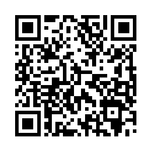 就连甲龙和野龙的身体此时也是一片焦糊二维码生成