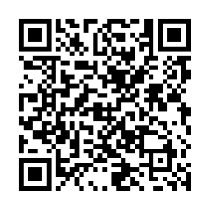 就连盛京的摄政王府佛堂里跪拜念经的凌儿靳如歌她们二维码生成