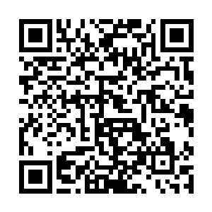 就连盲僧和亚索这种最简单的配合都没有机会打出来二维码生成