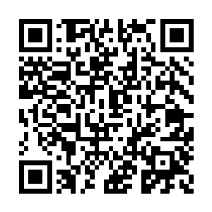 就连看到这一幕的苏凡此时也不由的抿嘴笑了笑二维码生成